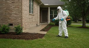 pest control